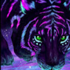 Meet your Posher, Alina